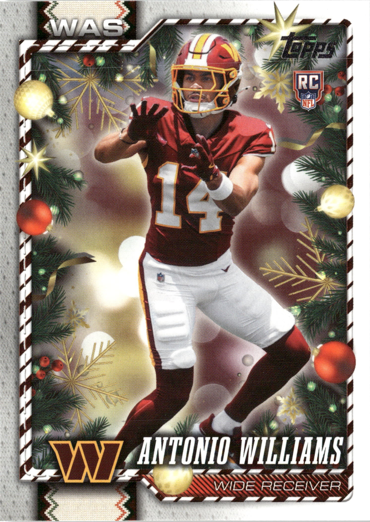 Antonio Williams graded slab