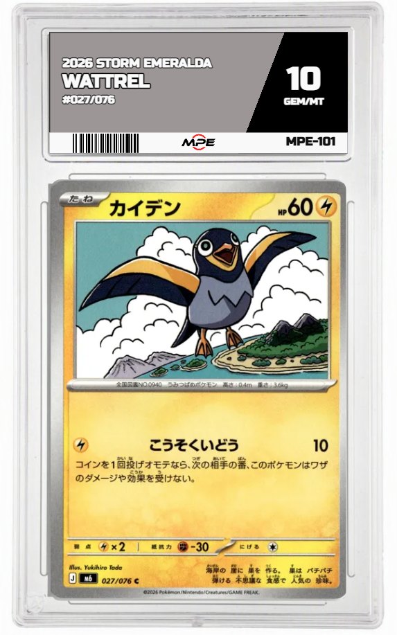 2026 STORM EMERALDA #027/076 WATTREL MPE 10 GEM/MT — graded card auctioned from the MPE vault