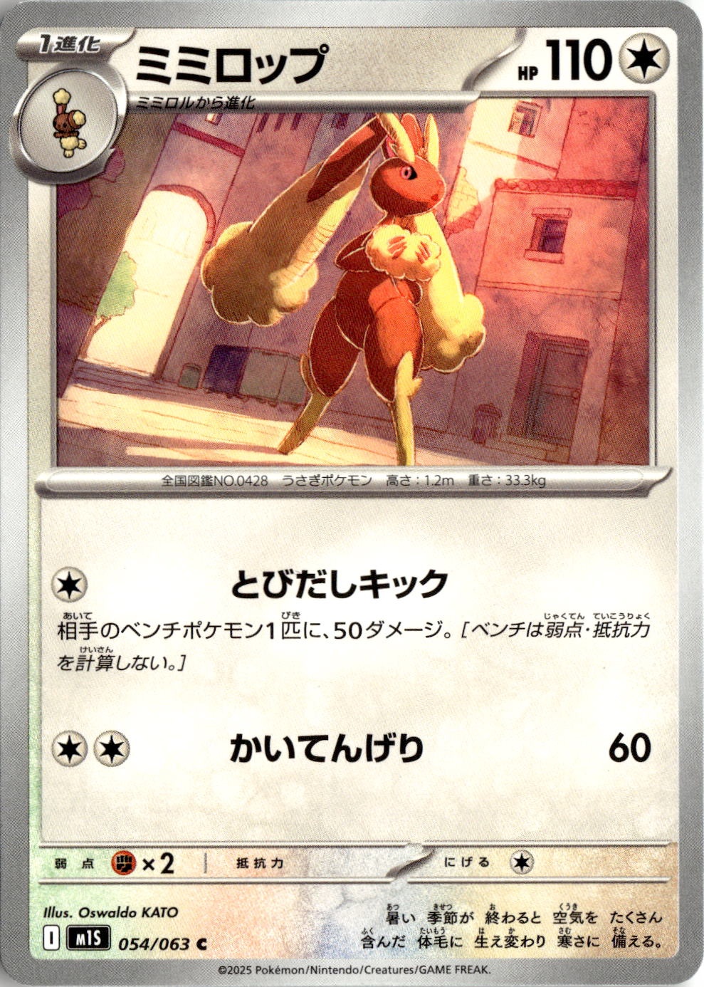 Lopunny graded slab
