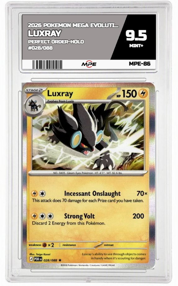 2026 POKEMON MEGA EVOLUTION PERFECT ORDER-HOLO #028/088 LUXRAY MPE 9.5 MINT+ — graded card auctioned from the MPE vault