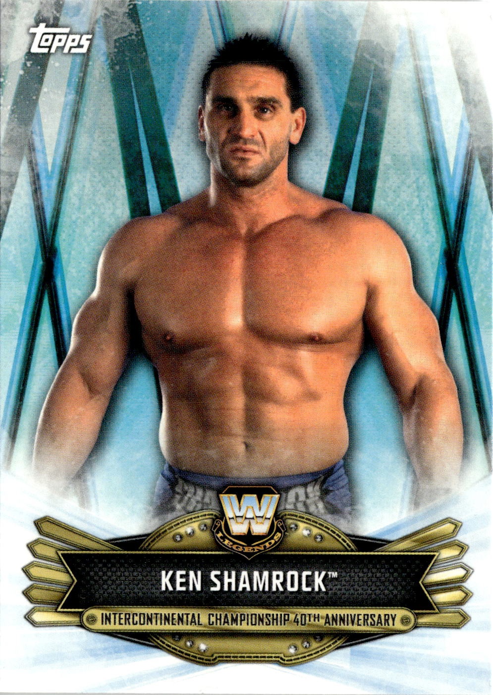 Ken Shamrock graded slab