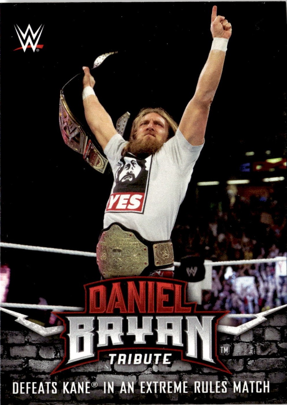 2017 Topps Then Now & Forever Daniel Bryan graded slab