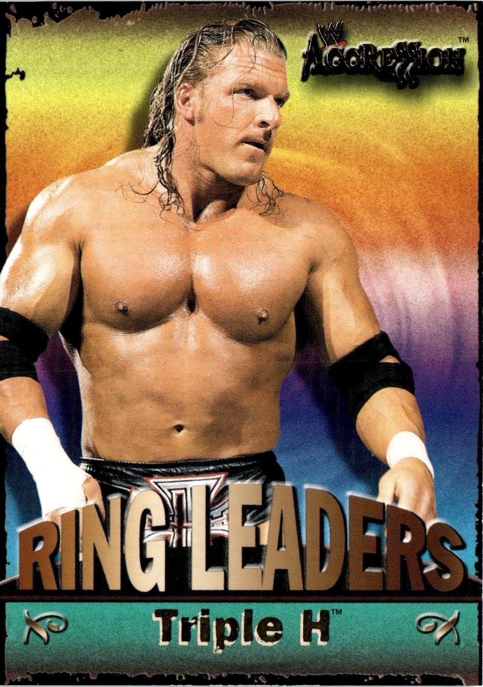 2003 Fleer WWE Aggression Triple H graded slab