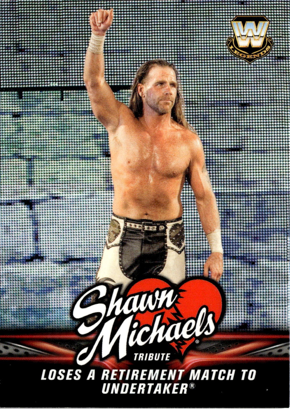 Shawn Michaels graded slab