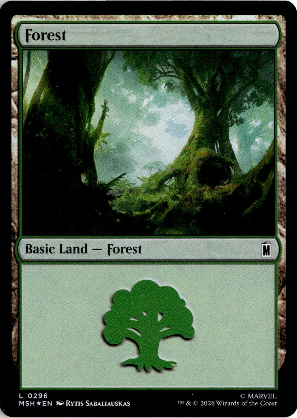 2026 Mtg Msh En Forest graded slab