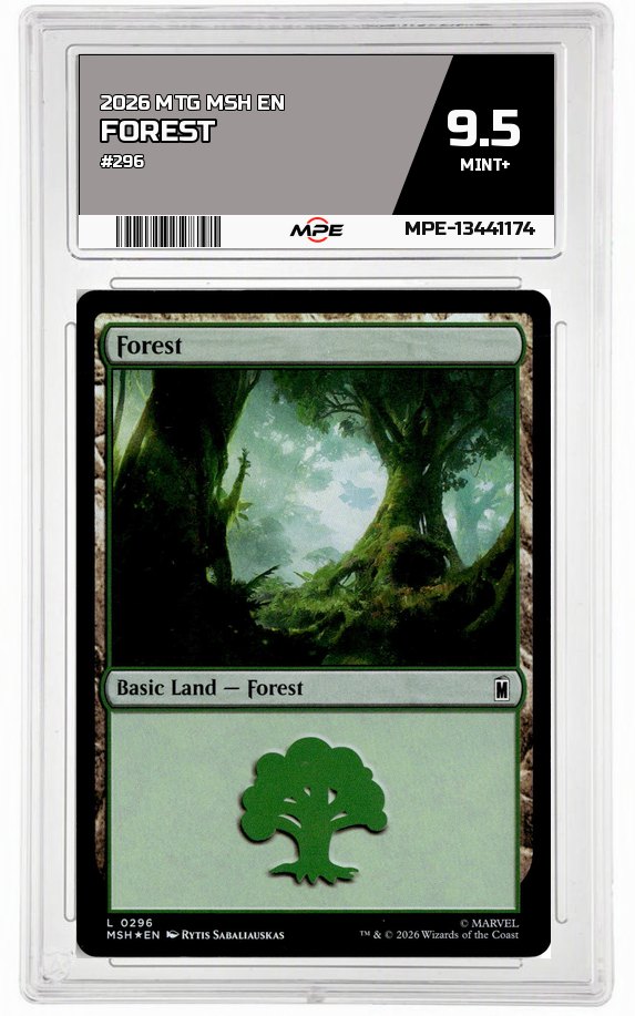 2026 MTG MSH EN #296 FOREST MPE 9.5 MINT+ — graded card auctioned from the MPE vault