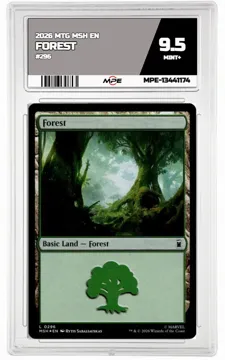 2026 MTG MSH EN #296 FOREST MPE 9.5 MINT+ — graded card up for auction