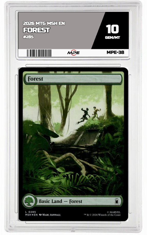 2026 MTG MSH EN #285 FOREST MPE 10 GEM/MT — graded card auctioned from the MPE vault