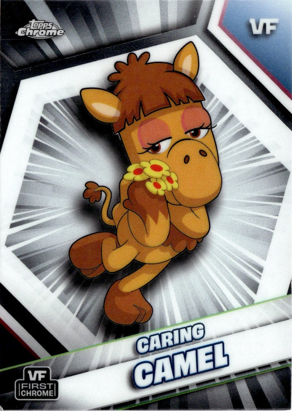 Caring Camel graded slab