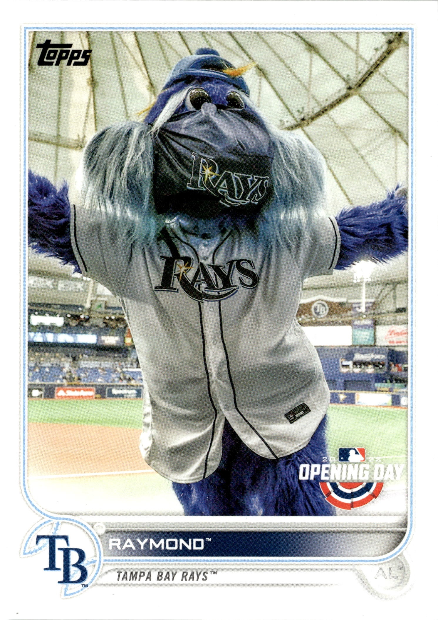 2022 Topps Opening Day Raymond graded slab