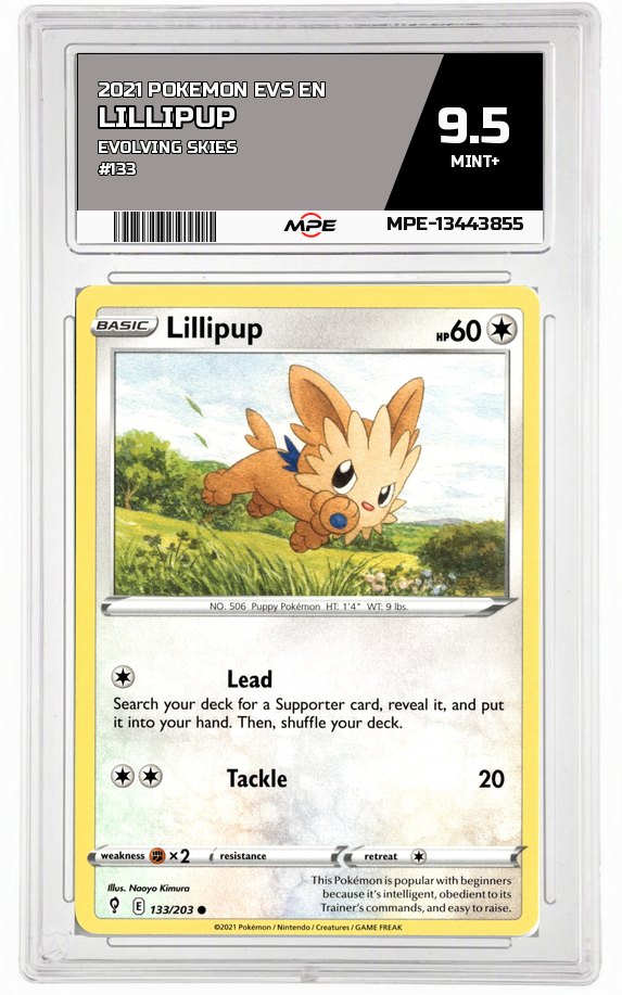 2021 POKEMON EVS EN Evolving Skies #133 LILLIPUP MPE 9.5 MINT+ — graded card auctioned from the MPE vault