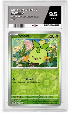 2023 POKEMON OBF EN Obsidian Flames-REV HOLO #019 SMOLIV MPE 9.5 MINT+ — graded card up for auction