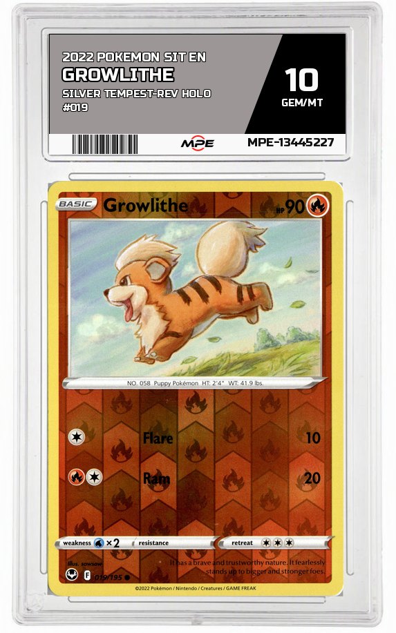 2022 POKEMON SIT EN Silver Tempest-REV HOLO #019 Growlithe MPE 10 GEM/MT — graded card auctioned from the MPE vault