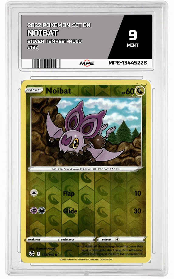 2022 POKEMON SIT EN Silver Tempest-HOLO #132 Noibat MPE 9 MINT — graded card auctioned from the MPE vault