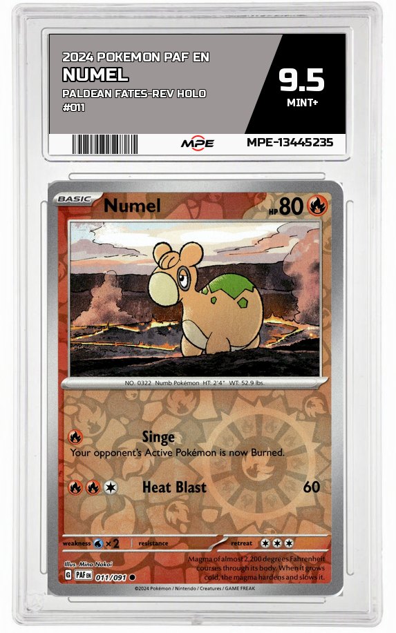2024 POKEMON PAF EN Paldean Fates-REV HOLO #011 Numel MPE 9.5 MINT+ — graded card auctioned from the MPE vault