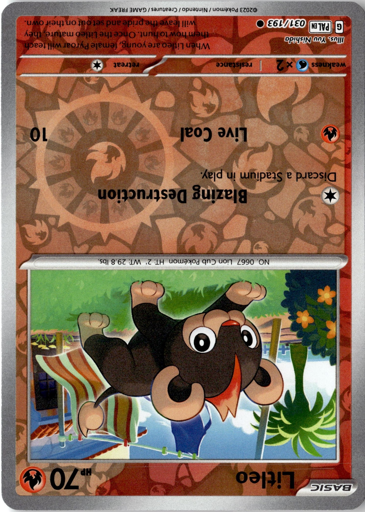 2023 Pokemon Pal En Litleo graded slab