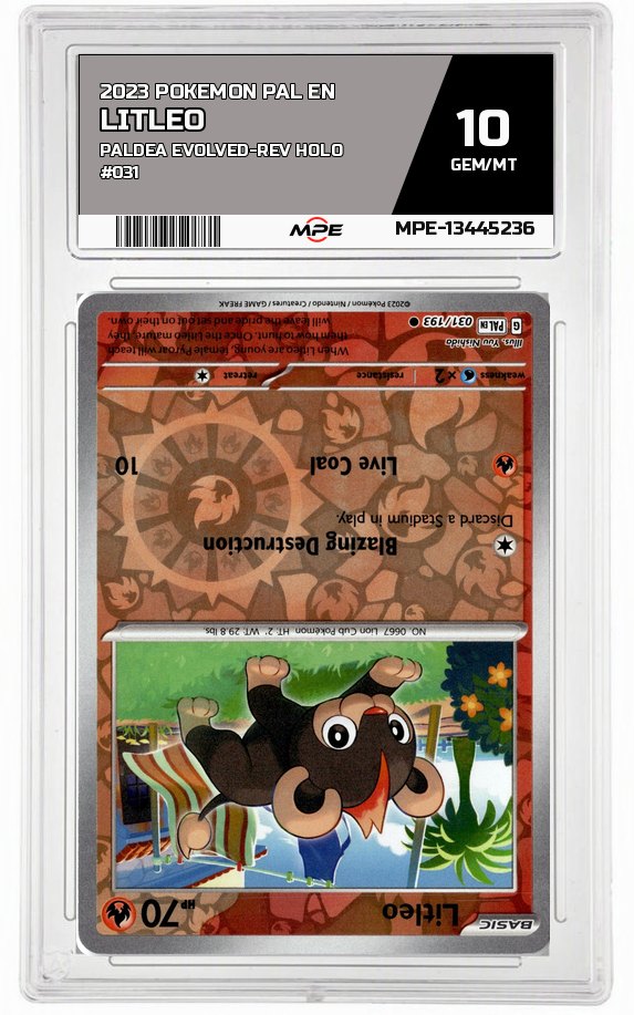 2023 POKEMON PAL EN Paldea Evolved-REV HOLO #031 Litleo MPE 10 GEM/MT — graded card auctioned from the MPE vault