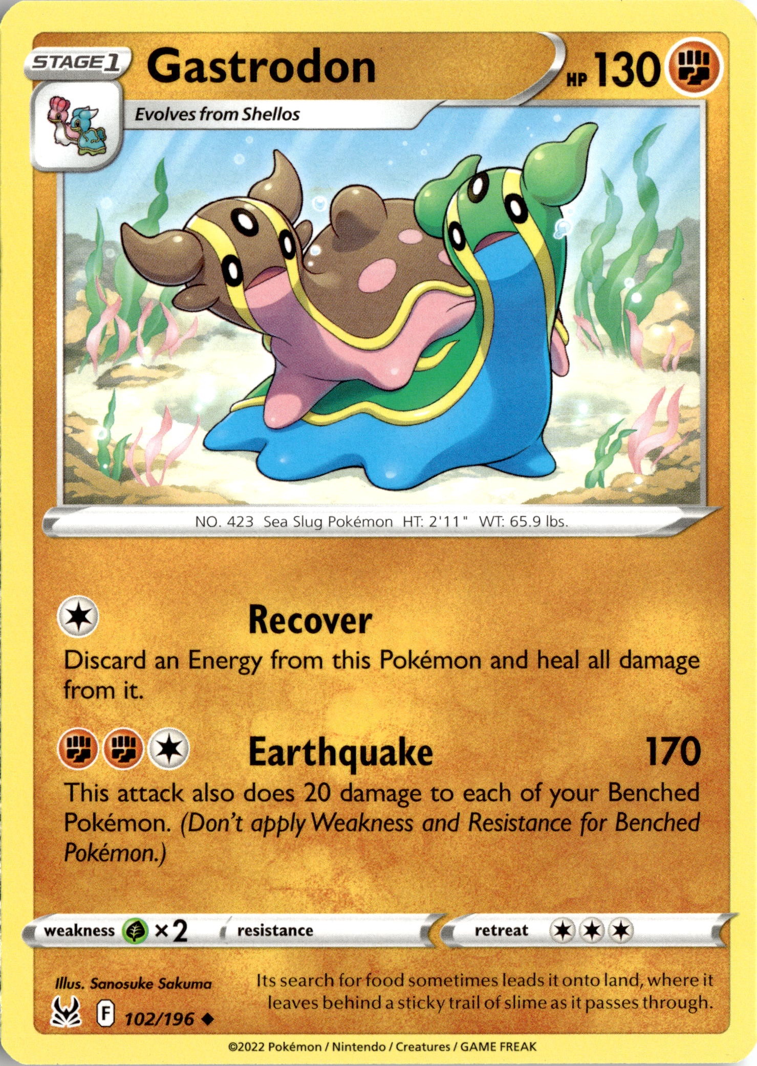 Gastrodon graded slab