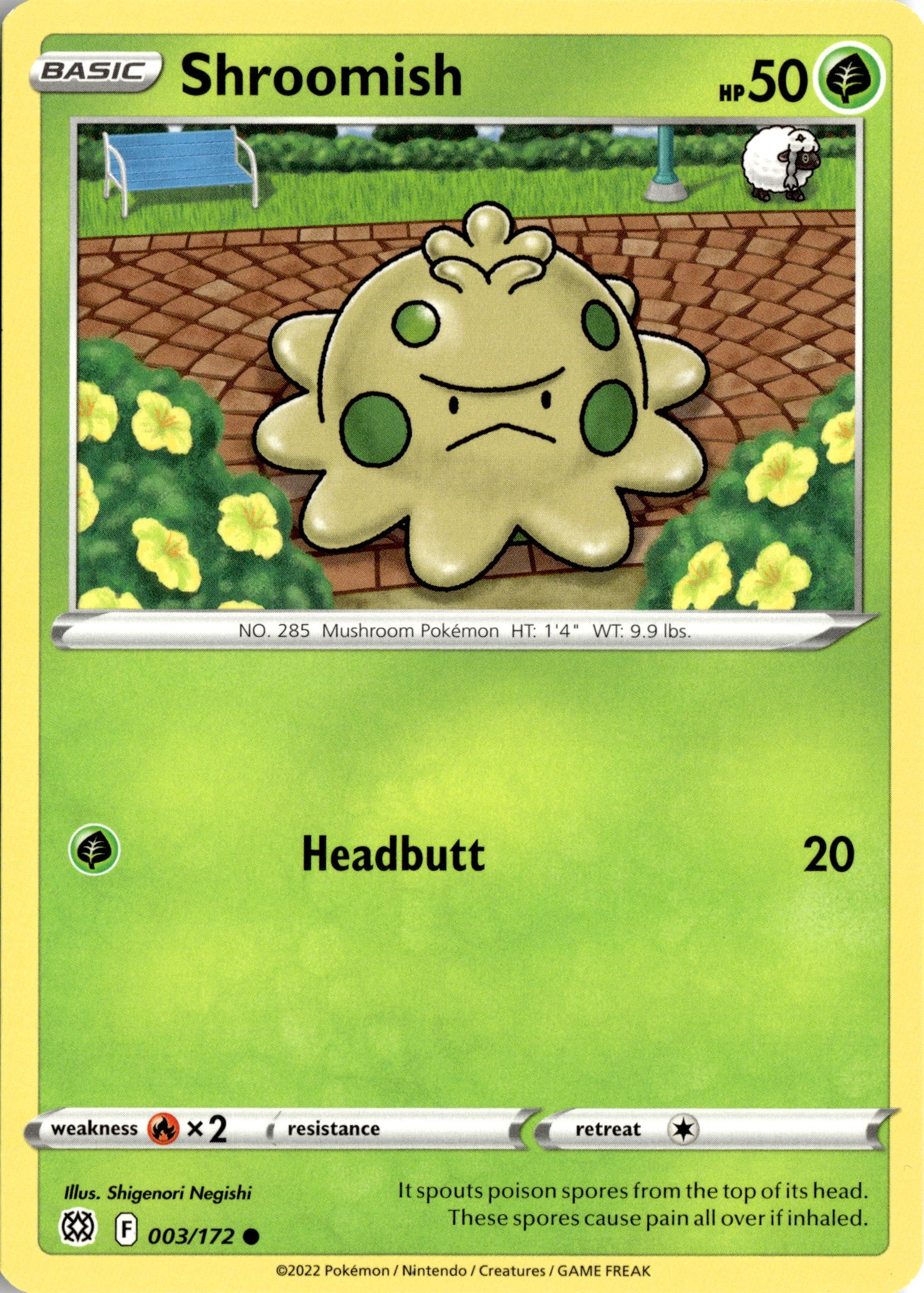 2022 Pokemon Brs En Shroomish graded slab