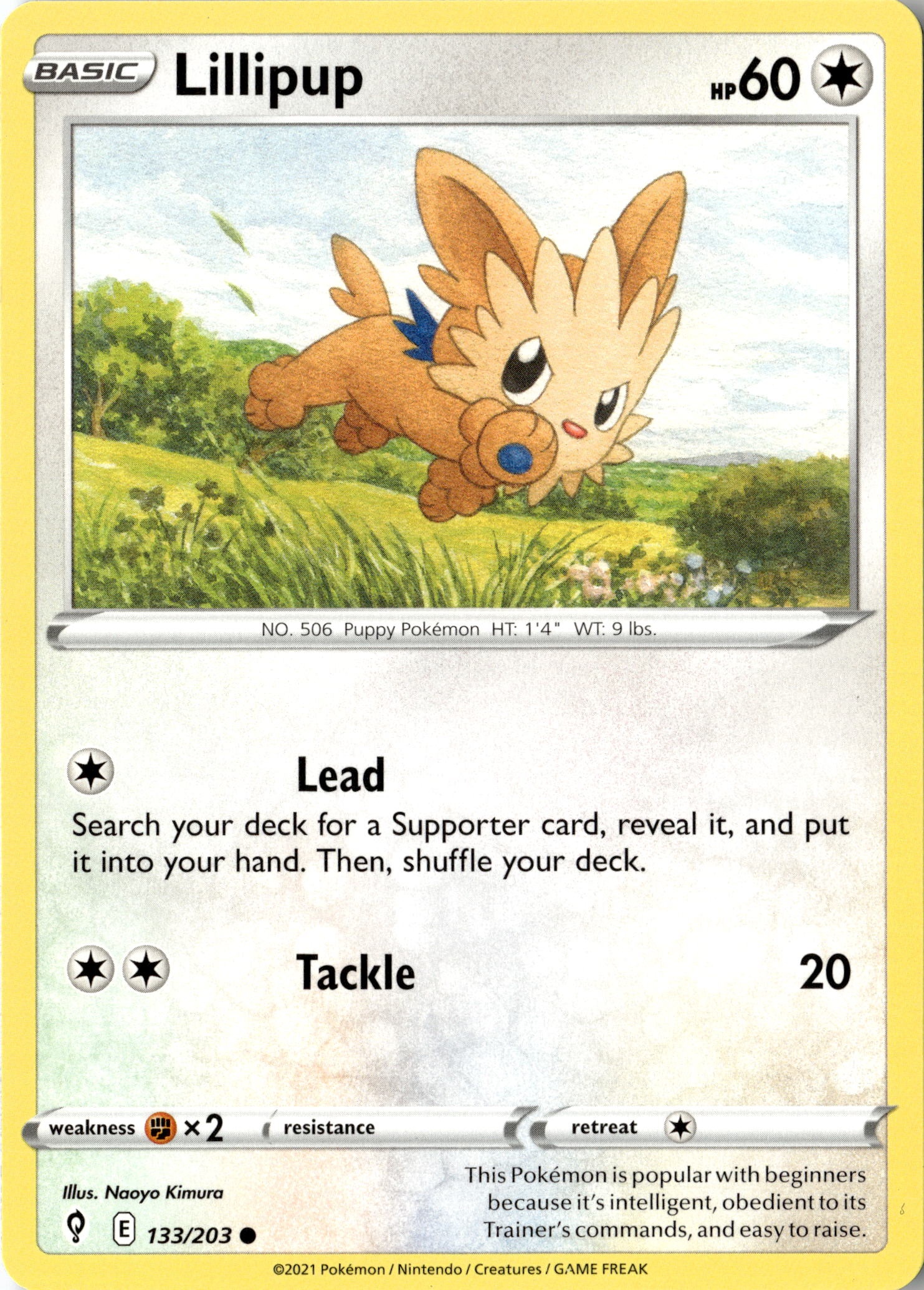 Lillipup graded slab