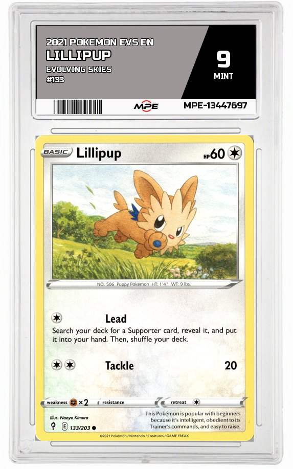 2021 POKEMON EVS EN Evolving Skies #133 Lillipup MPE 9 MINT — graded card auctioned from the MPE vault