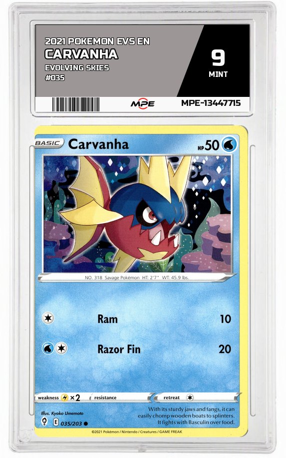 2021 POKEMON EVS EN Evolving Skies #035 CARVANHA MPE 9 MINT — graded card auctioned from the MPE vault