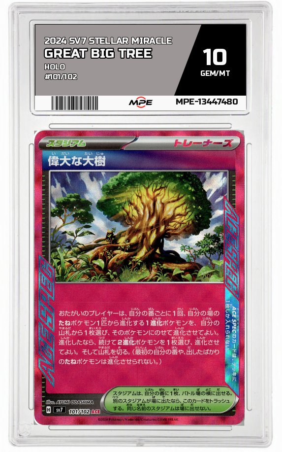 2024 SV7 STELLAR MIRACLE HOLO #101/102 GREAT BIG TREE MPE 10 GEM/MT — graded card auctioned from the MPE vault