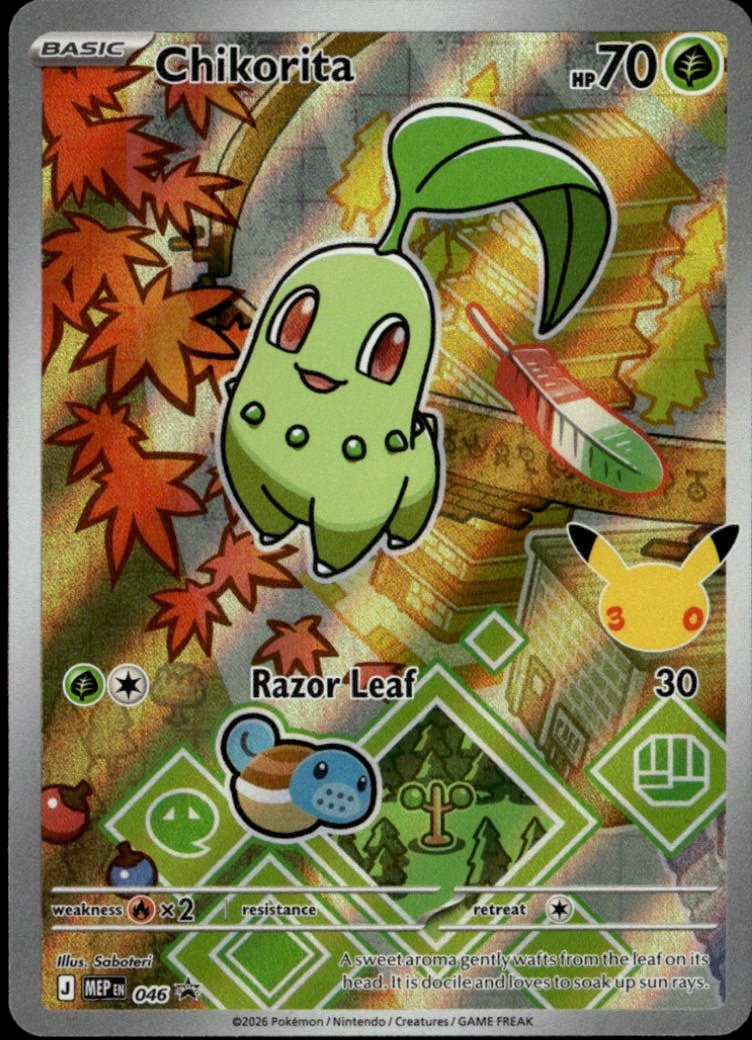 Chikorita graded slab